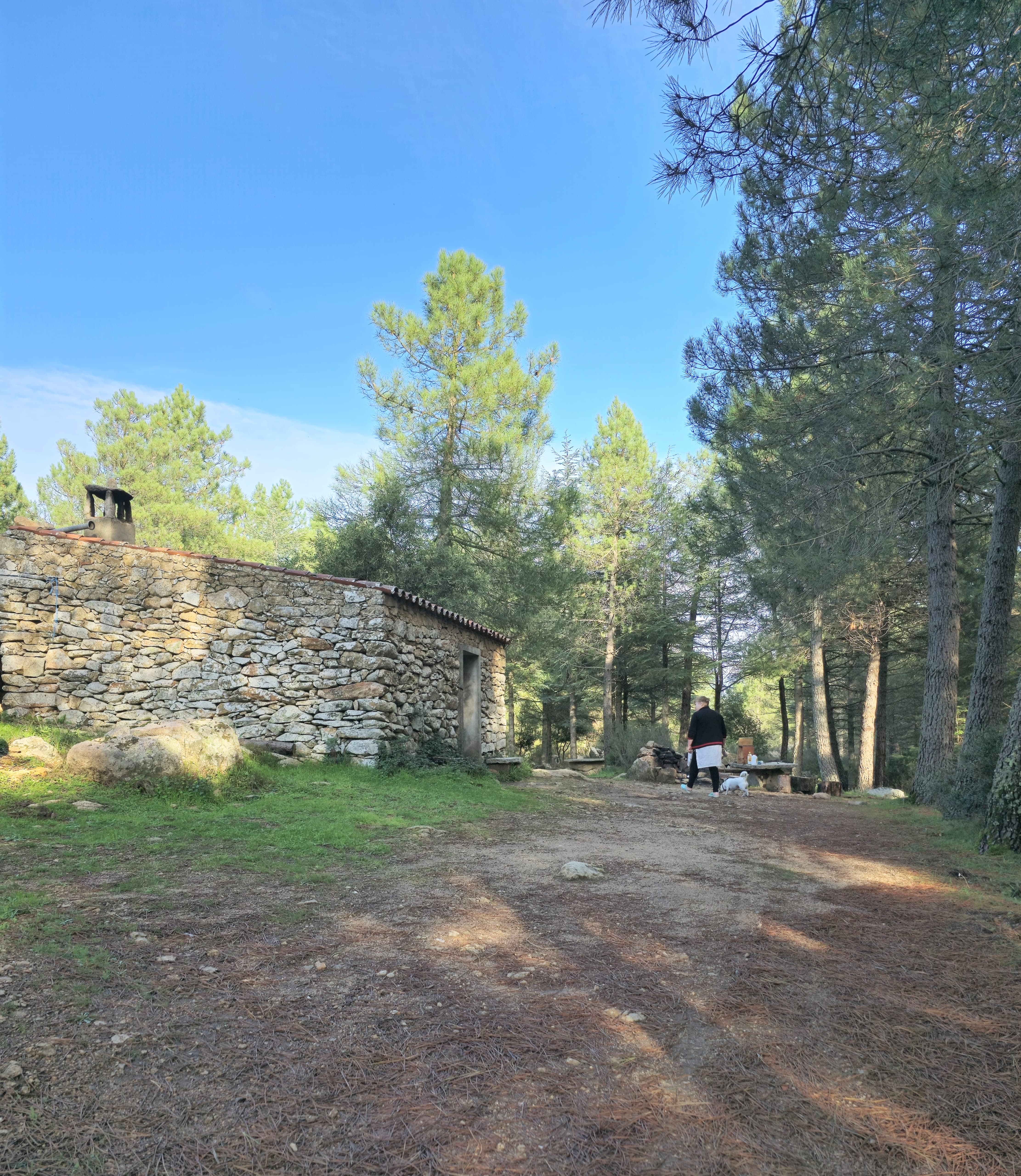 Boschi sardi e pascoli